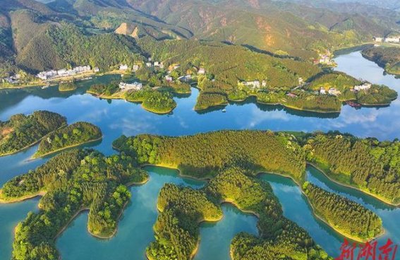 永州市金洞管理区：生态优先、绿色发展的楷模