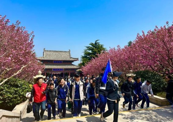 春日研学之旅：荣成二中赤山樱花节活动圆满启幕