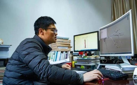 守护黄山：一棵松，一段责任