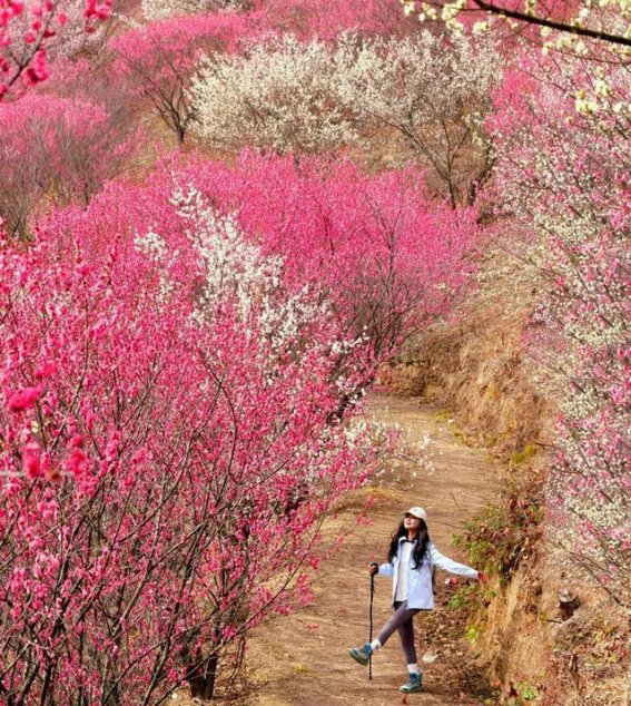 春日爬山，心随风景而动
