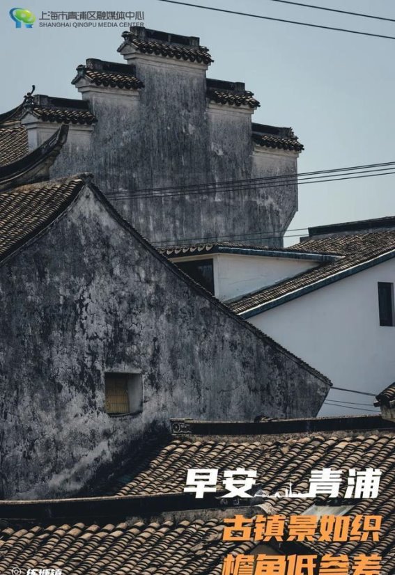 探秘青浦古镇：檐角低参差的时光织锦