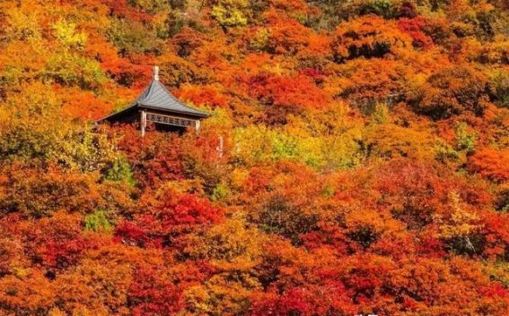 房山多个景区闭园公告：生态保护与游客安全双重保障