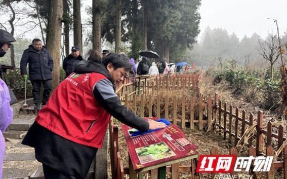 黄石寨“鸽子花”志愿服务：打造美丽景区，给游客留下温暖记忆
