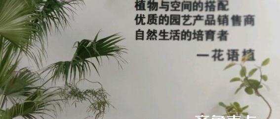 花语植：在绿意盎然的世界中邂逅自然的芬芳