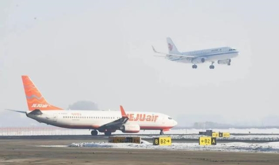 哈机场冰雪旅游高峰渐至，客流量同比增长13.9%