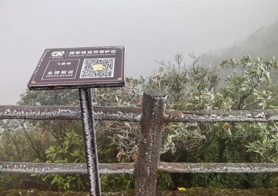 南宁大明山飞鹰峰雾凇景观亮相，寒冷天气自驾游成新选择