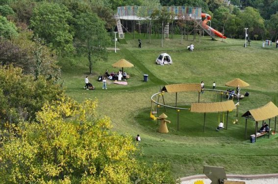 秋日的温馨时光