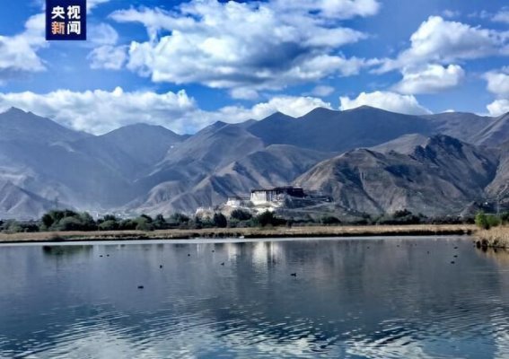 红脚鹬归来：生物多样性保护的重要篇章