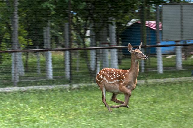 牢牢守住生态保护红线