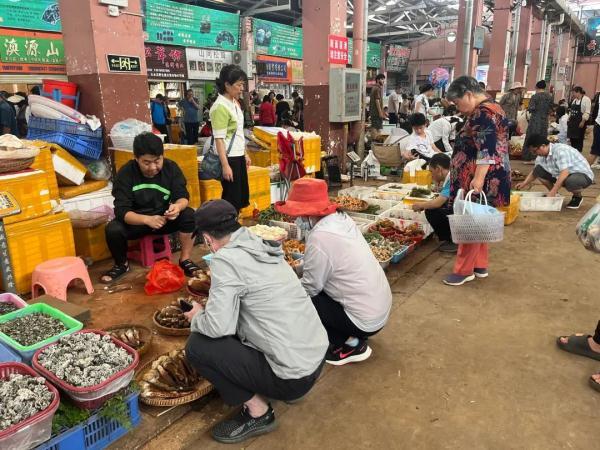 鸡枞价格暴涨！青头菌价格创今年新低！