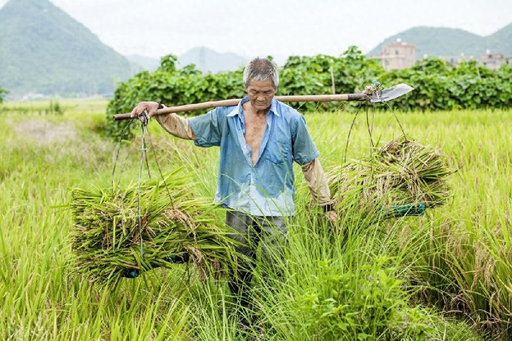 熊导航报道：出门在外四不摸：尊重他人，避免麻烦