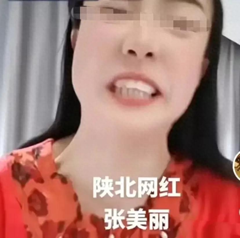 网红张美丽被抓：言论自由与社会道德的边界争议