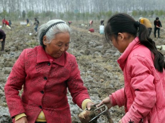 熊导航报道：谨慎之善，为人处事的底线