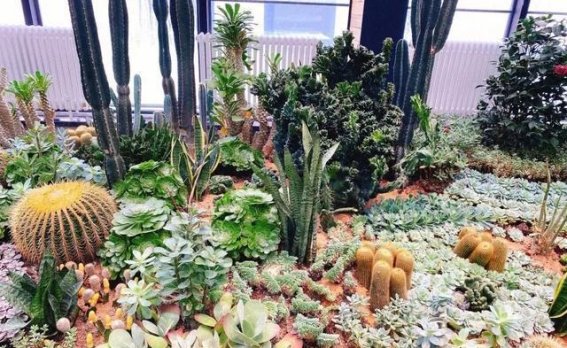 探访长春新晋网红打卡地——青怡坊云琅艺术中心