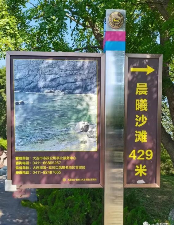 晨曦沙滩的秘密：海湾转角处的果冻海