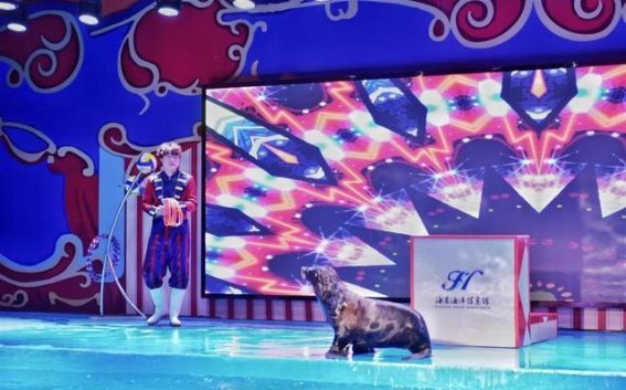 襄阳汉江畔，海洋探索馆开馆：文化与科技的奇妙融合