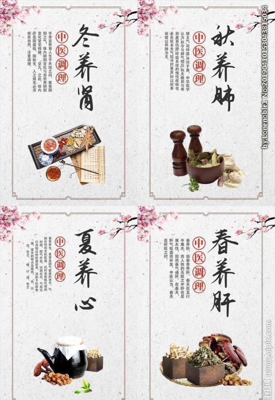 中医健康理念的深刻解读与实践价值