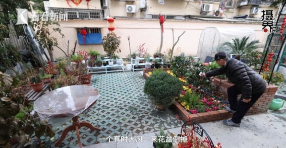 与“种花爷爷”一起，感受生活中的温暖与美好