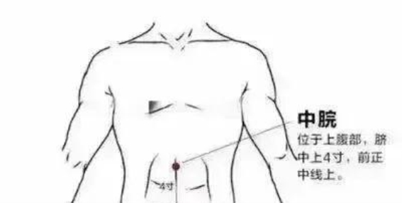 夏季如何调养脾胃？三道食疗方助你改善肠胃不适