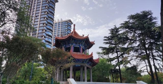 城市改造背后的思考：咸阳渭滨公园的遗憾与反思