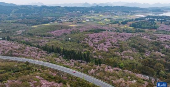 春光乍泄，贵州清镇红枫湖的踏青之美
