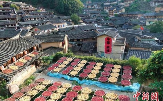 朱子文化的传承与地方高质量发展的新探索