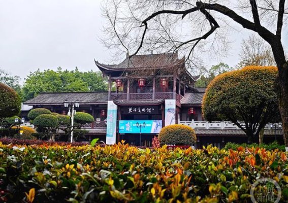 春日光影：镜头下的春色与生机