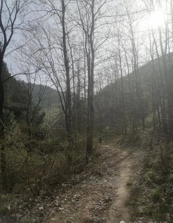 清明时节的五共山之行