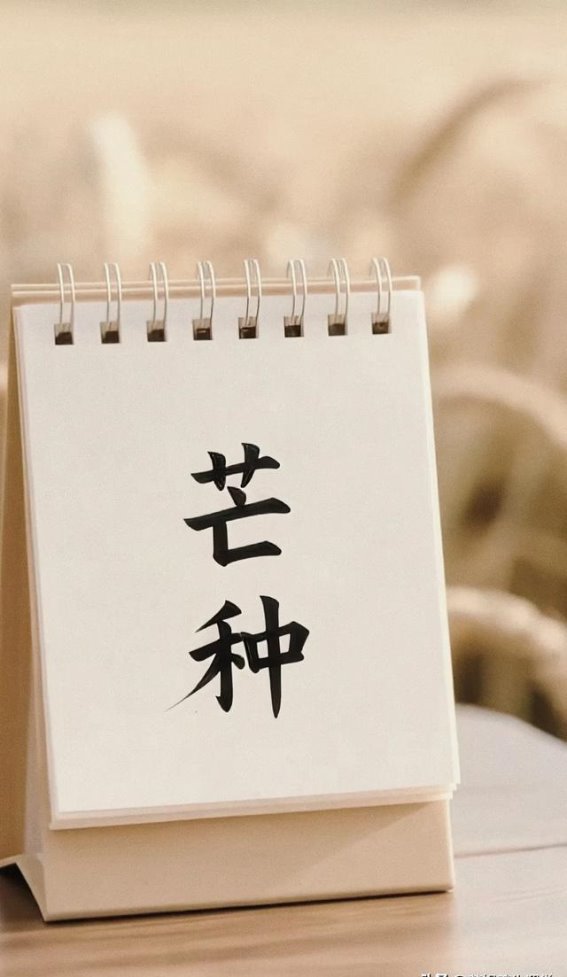 芒种养生要点，盛夏健康秘诀你get了吗？