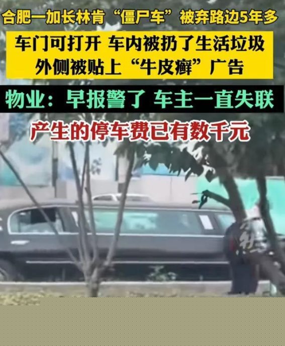 合肥百万林肯弃街头五年，物业报警寻车主，网友揣测背后隐情