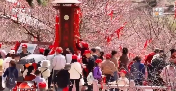 春日花海：踏寻大自然的诗意之旅