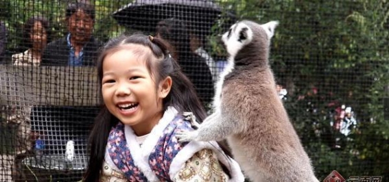红河大理州庆：湄公河旅游推出专属优惠活动，邀您一起感受云南风情