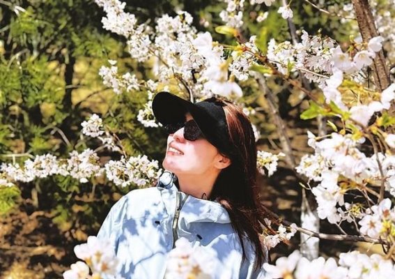 太原樱花盛开，浪漫春光尽在眼前