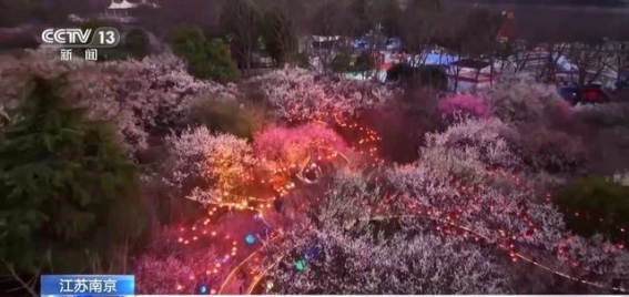 春暖花开，花海经济带动乡村振兴