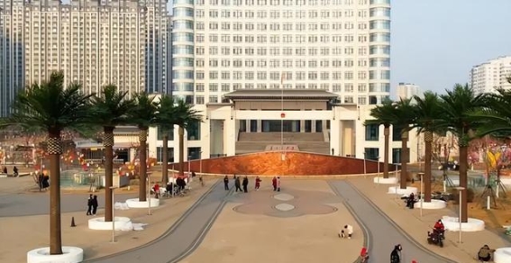 清徐县“椰子树”风波：一个资源浪费的深刻教训