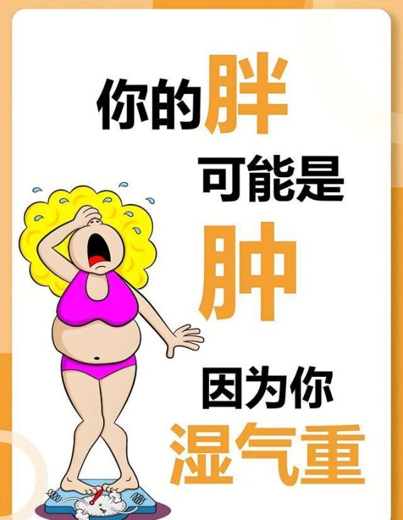 胖人四大类型自救法，科学应对，恢复健康