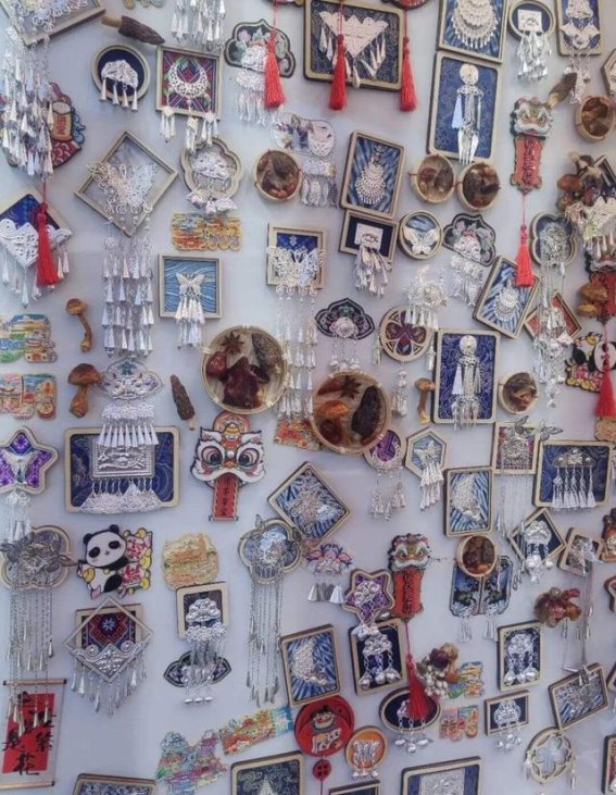 大观公园观鸥季三大经典游览路线推荐