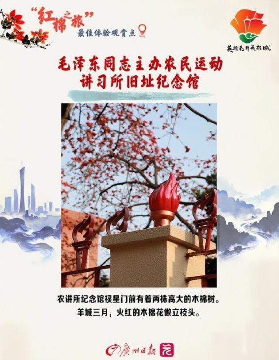 春光中最美的英雄花——广州木棉花打卡地全攻略