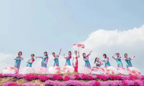 嵩县春日美景：300亩芝樱花海，邂逅最浪漫的春天