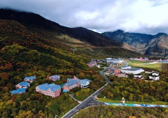 四川婚姻登记新风潮：雪山与公园见证爱情誓言