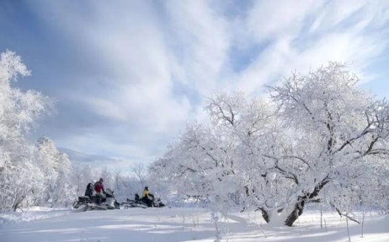 雪岭的冬日奇缘，邂逅纯净白雪的童话世界