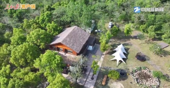 九龙湿地的春日奇迹，萤火虫为守护的光明