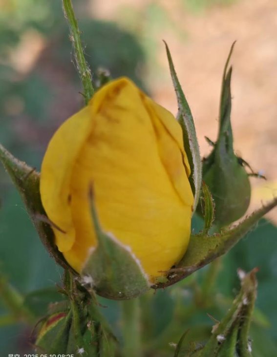 通过讲述过去，拥抱当下的平静