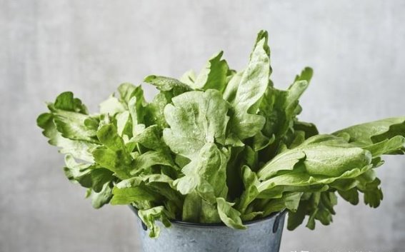 哪些蔬菜能帮助肾脏更健康？