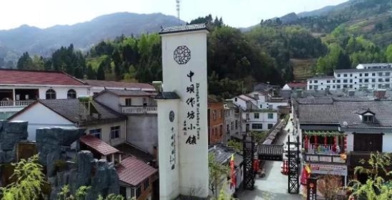 后柳镇推动乡村振兴的探索与实践