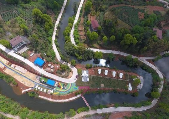 金秋茶乡崛起，推动金秋湖镇经济高质量发展