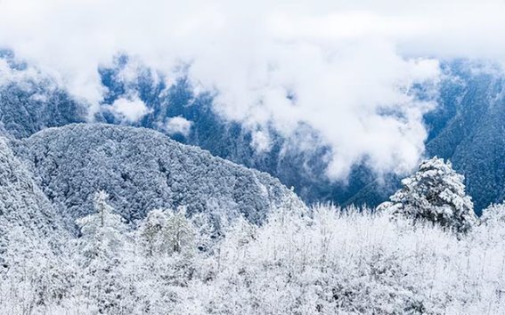 雅安冬季冰雪温泉之旅：感受雪与温泉交织的奇妙时光