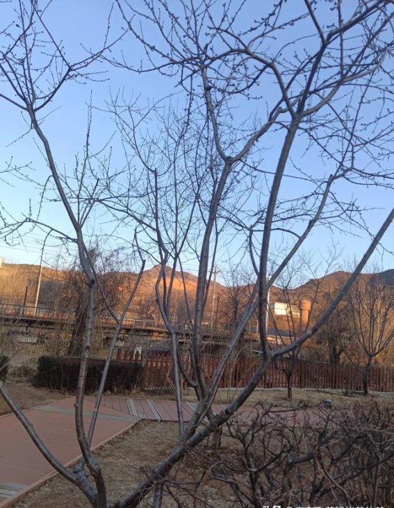 倒春寒中的沉思