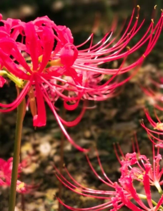 自从她嫁给他，我的生活就发生了翻天覆地的变化