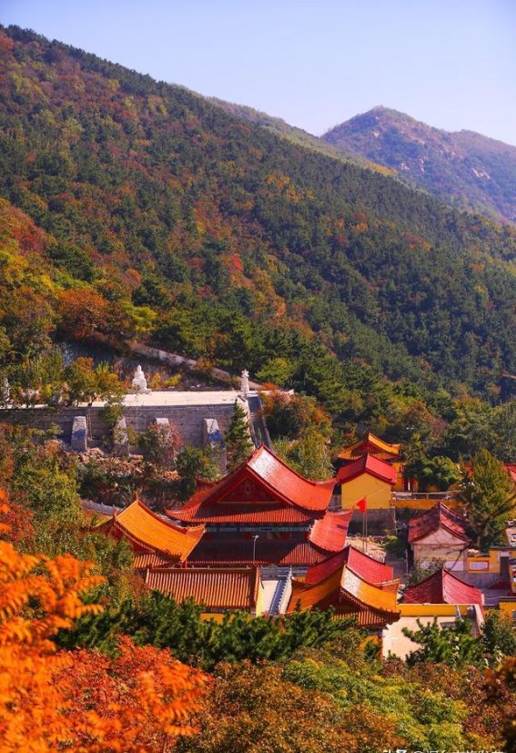 烟台秋季赏红叶好去处！这几处绝美景点不容错过